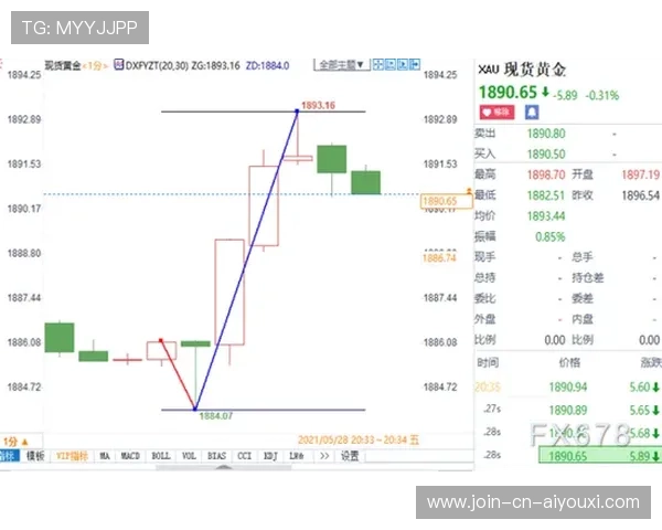 当家核心被重点针对，战术保护层全面升级
